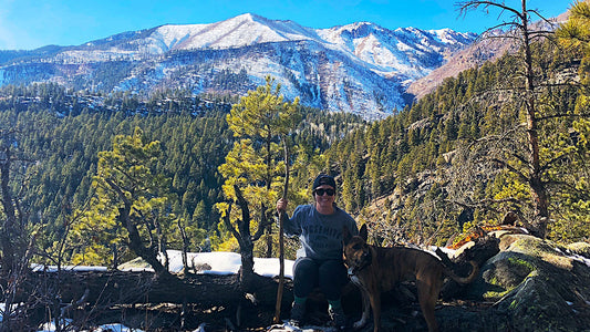 A Beginner's Half Marathon Training Journey