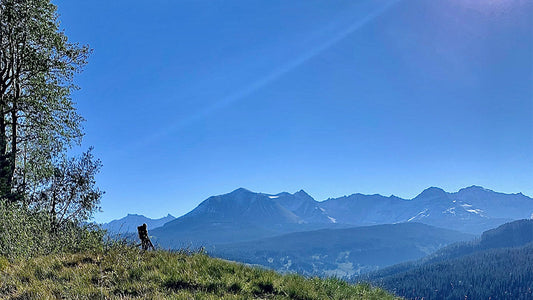 Using Tailwind in Hunting and Backcountry Excursions