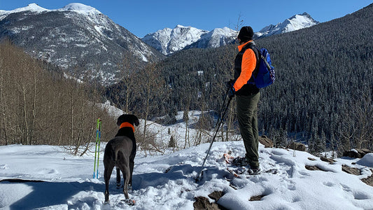 How Tailwind Athletes Spend Their Winter