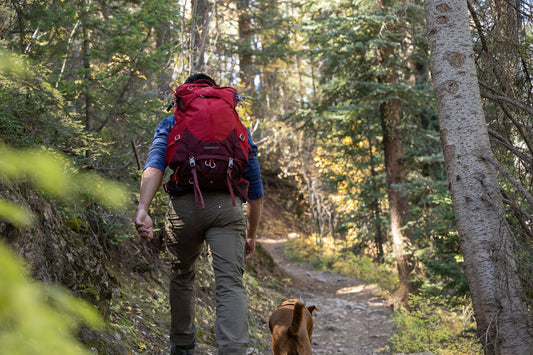 Recreate Sustainably