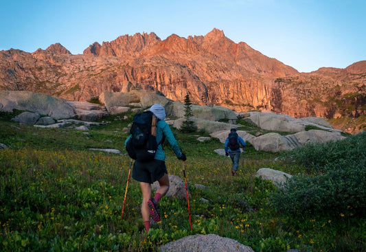 Tailwind Staff Goals for 2023