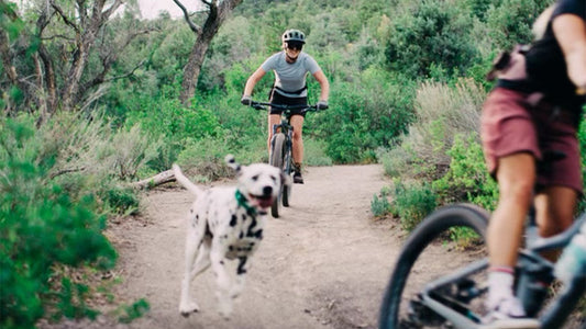 How I Use all Tailwind Products Throughout the Week