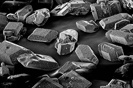 Osmolality and the Glucose Transport Mechanism