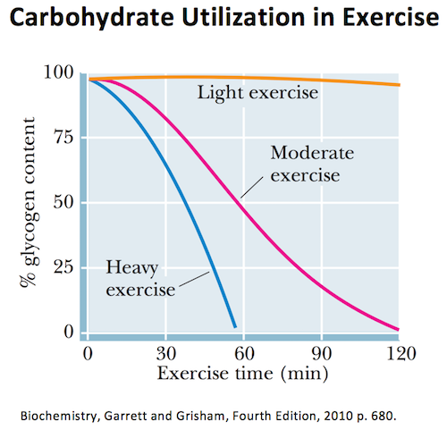 The Overlooked Part of Recovery: Glycogen Replenishment