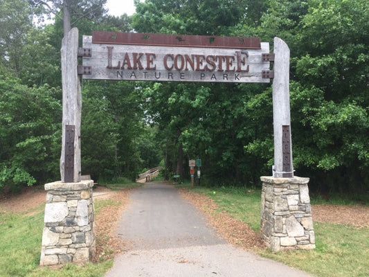 Knock on Wood Race Recap